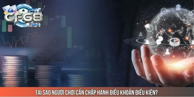 tai-sao-nguoi-choi-can-chap-hanh-dieu-khoan-dieu-kien